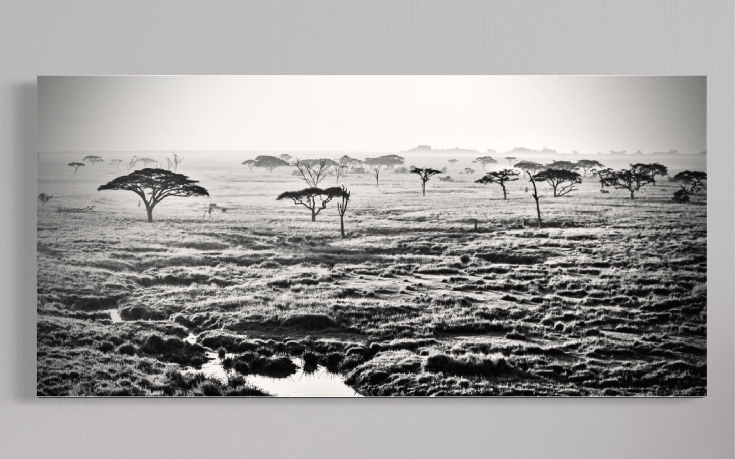 Serengeti Plains