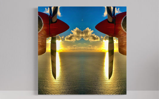 Mirror Propeller